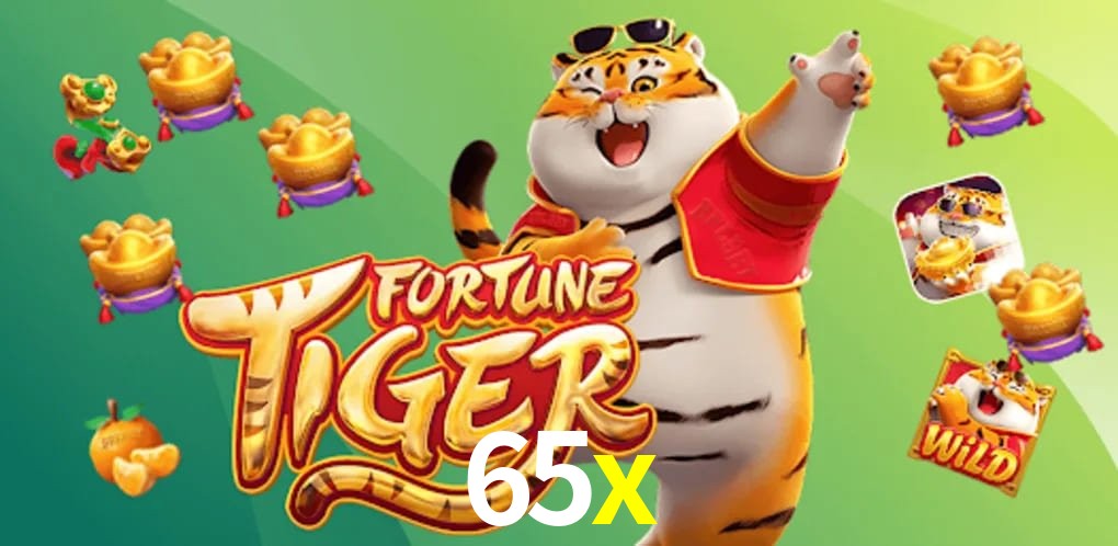 Experiência VIP 65x